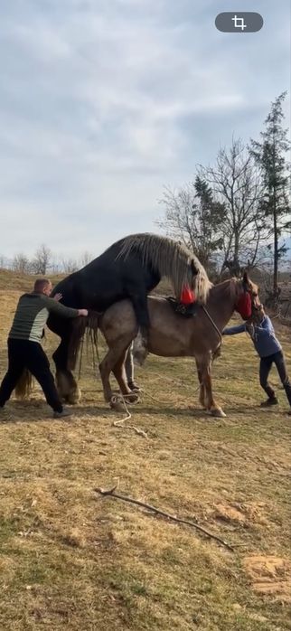 Iapa cu manz 3 luni …