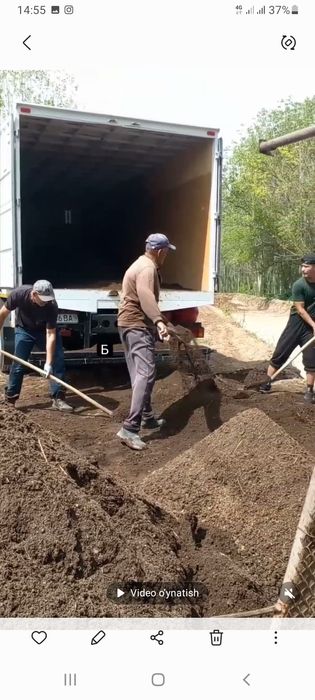 Биогомс сотилади