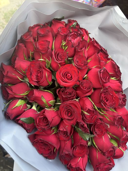 Продам 51 розы свежые