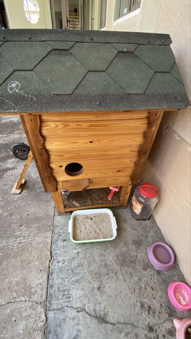 Uy hayvonlari uchun uy