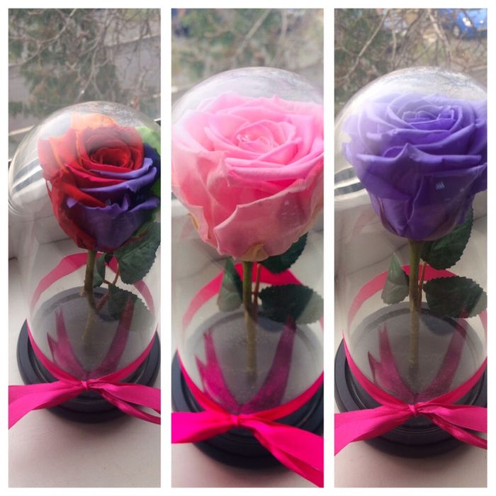 Trandafiri criogenati conservati rezistenti in timp cu o viata lunga