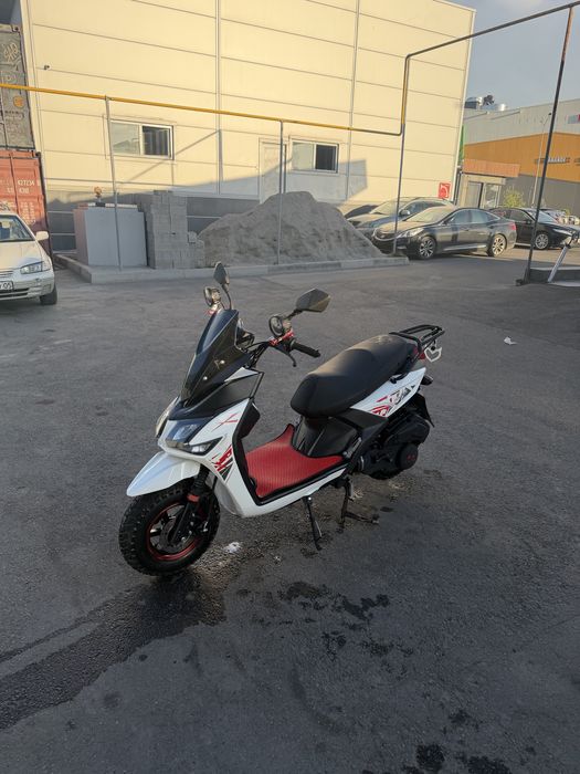 Продается Лия самурай Liya Samuray