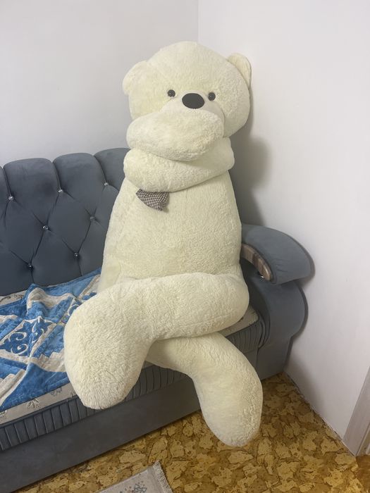 Медвед медвед медвед