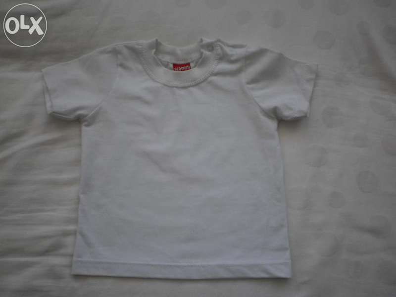 Лотче за 1г.