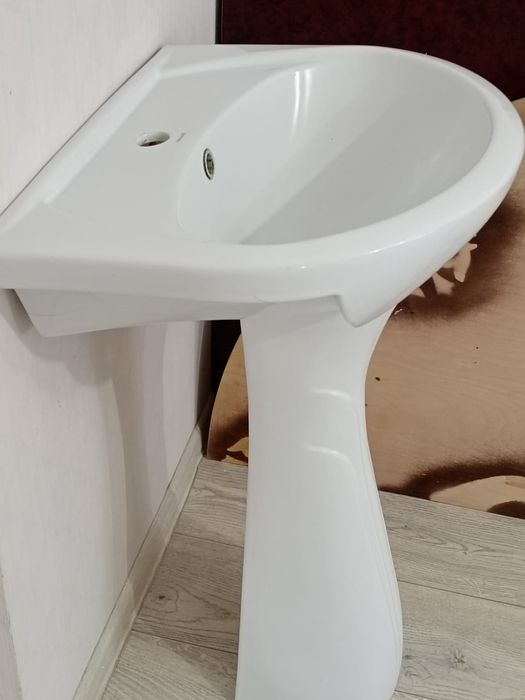 Раковина  тульпан