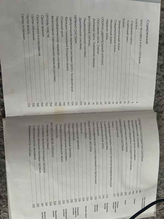 Анатомии человека