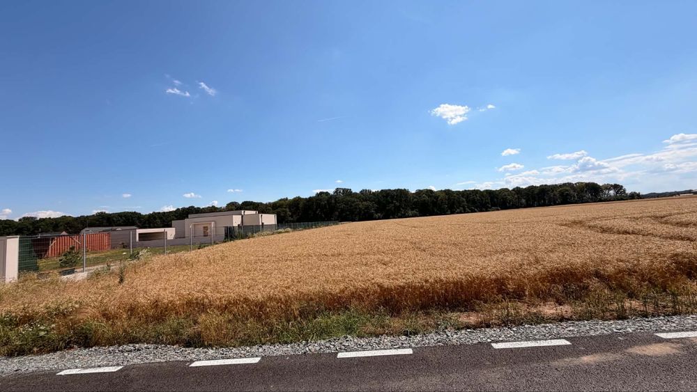 Teren de vamzare 5032 mp Cu deschider in padurea Snagov
