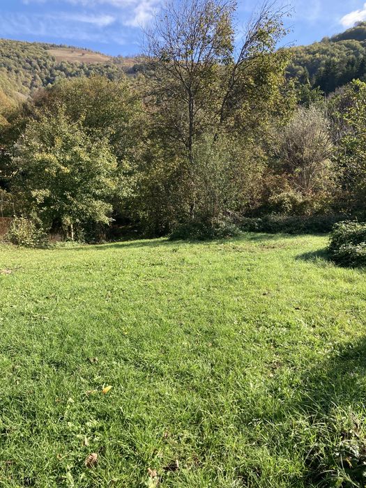 Поземлен имот в регулация