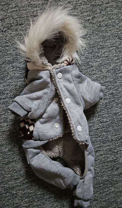 Haina cățel Yorki talie mica.