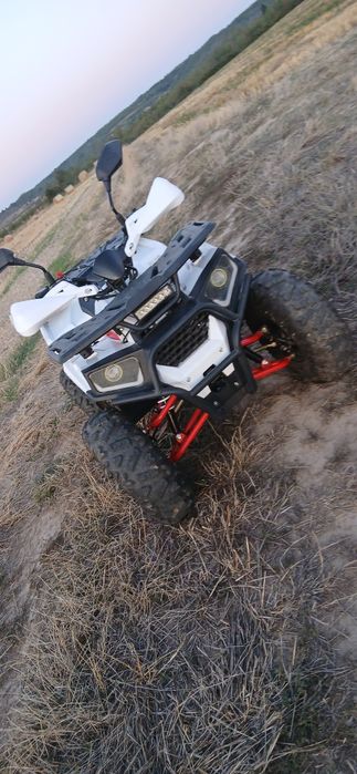 Vând RDB AY125cc