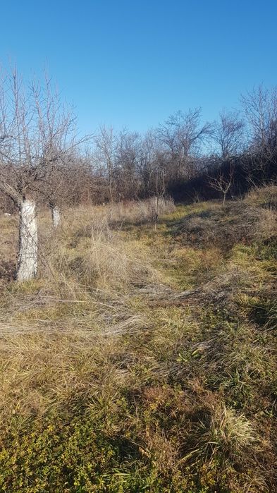 Продава се Парцел в с. Слокощица, Област Кюстендил - 2800 кв.м за 4 €/кв.м - Снимка #1