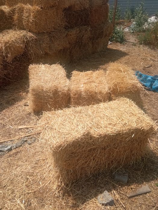 Сабан,салома сатылады.