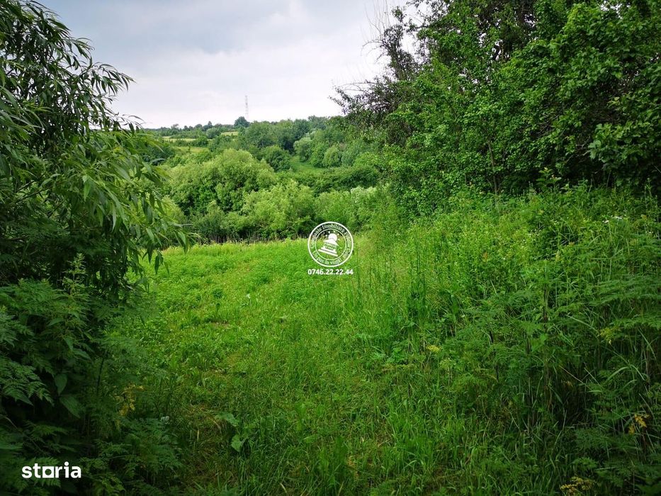 Teren intravilan - 2980mp - de vanzare in Carbunari, Grajduri