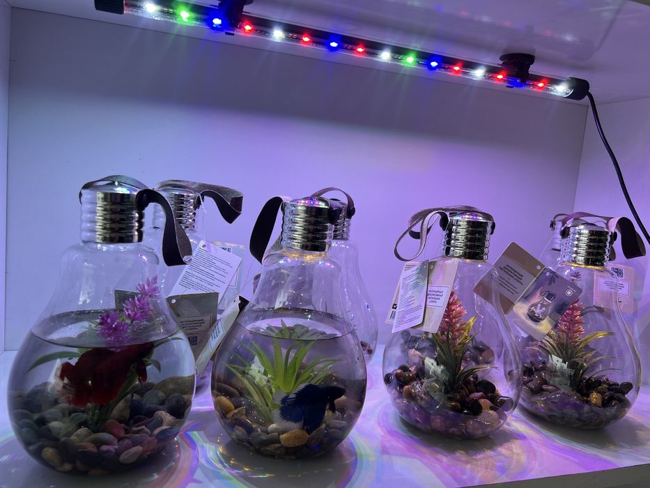 Deqarativni akvarium lampa