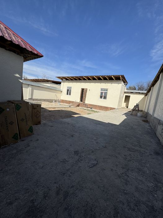 Dacha mayski ziyozdichka