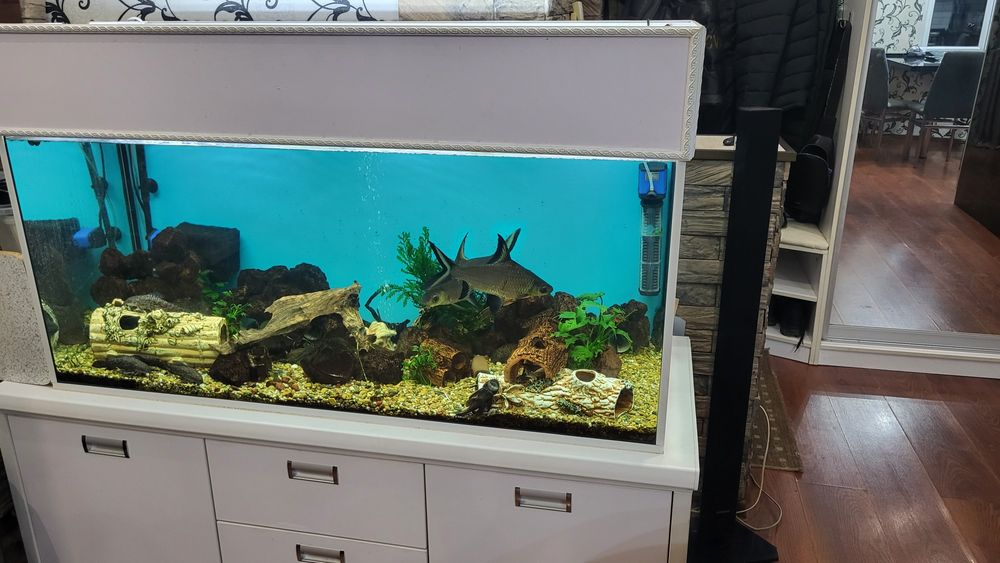 Продам аквариум с рыбками