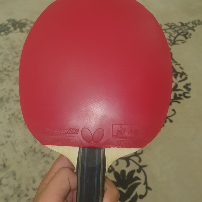 Fan zhen dong ALC   Dignics09c