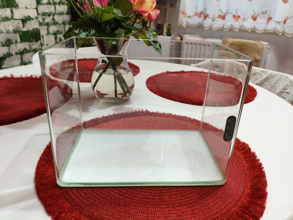 Acvariu betta 12 litri