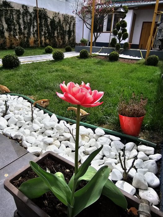 Casă singur în curte de vinzare