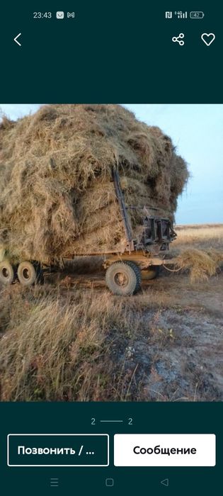 Продам сено луговое