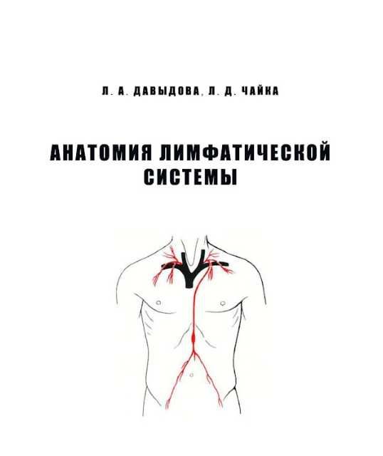 Анатомия лимфатической системы Давыдова Чайка