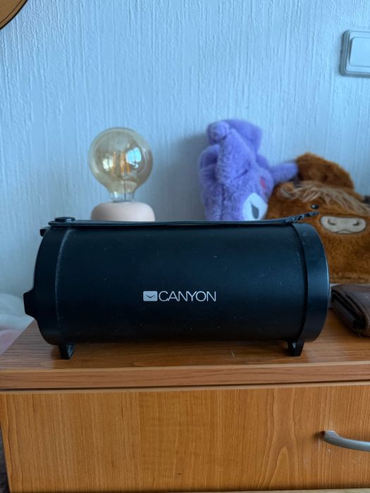 Колонка Canyon Boost