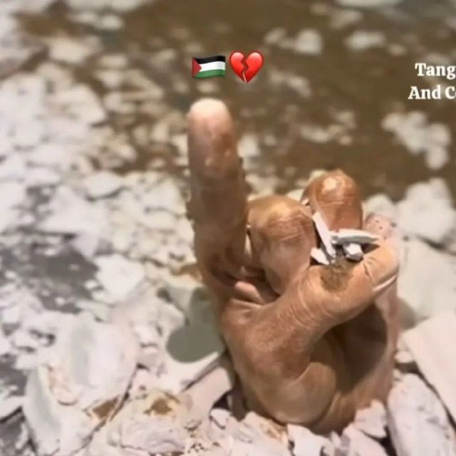 Куй юнгини олиш хизмати келишилган нархда