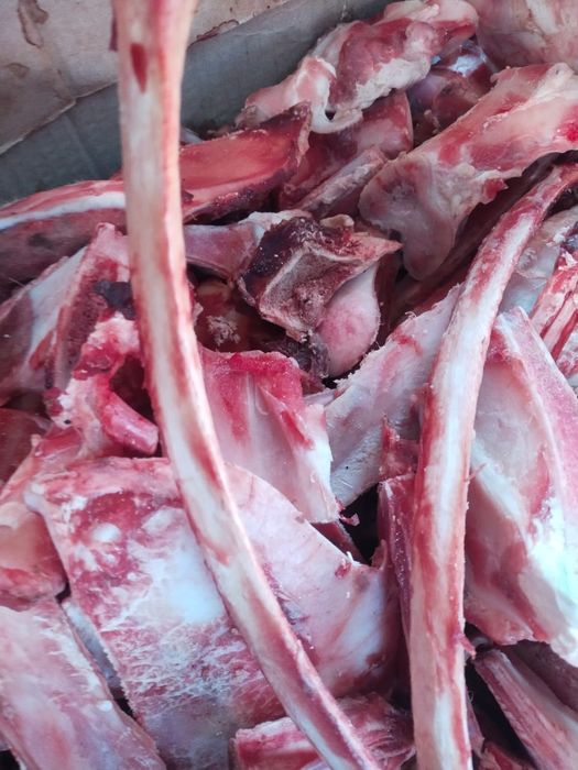 Продам кости для собак