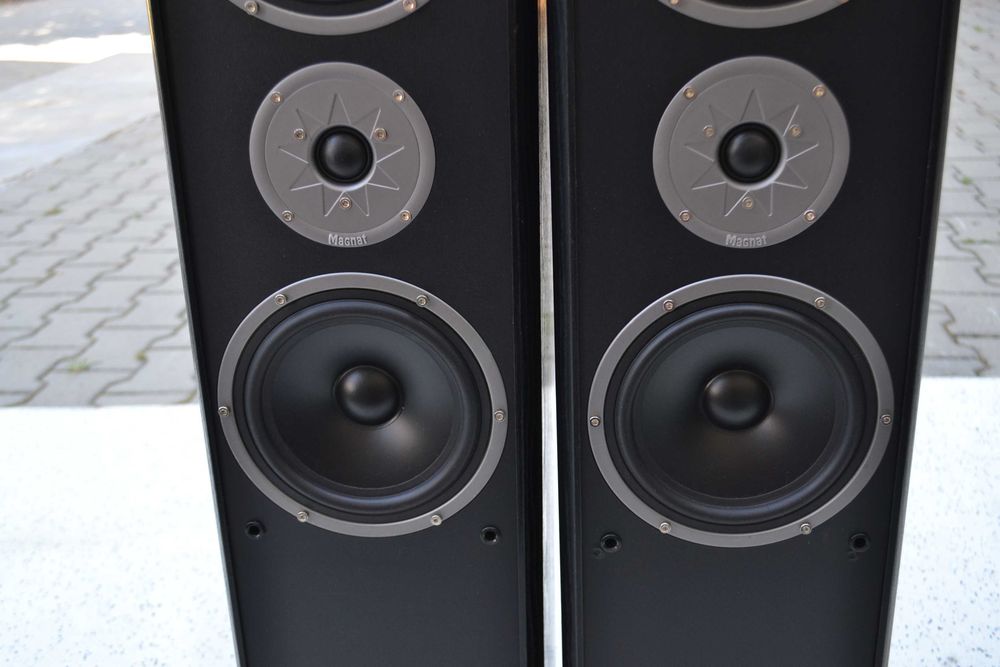 Boxe Magnat Monitor Supreme 800