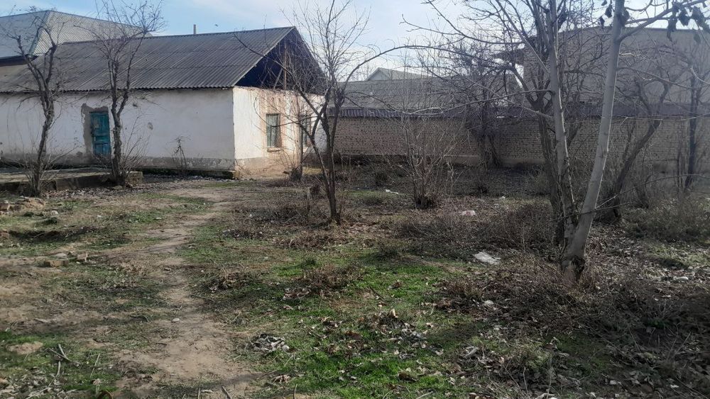 Surxondaryo viloyati Oltinsoy tumani chep MFY qadr qimmat koʻchasi