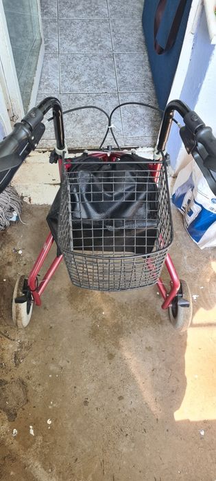 Проходилка количка