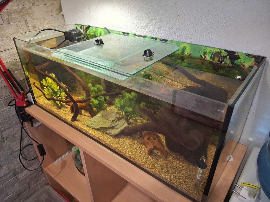 Три аквариума комплект с рибки