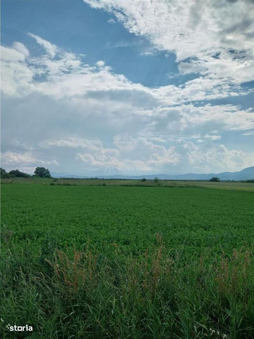 Teren Stupini Brasov - 2000 mp