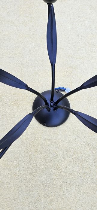 Полилей - с пет крушки