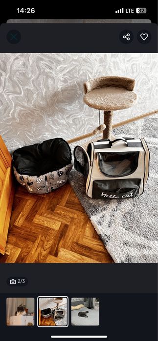 Отдам отдам отдам отдам