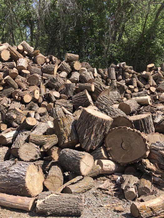 Продаются дрова (карагач сухой)