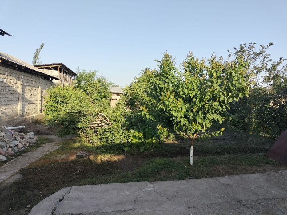Shinam va qulay uy sotiladi Hamma sharoit bor suv gaz svet mavjud