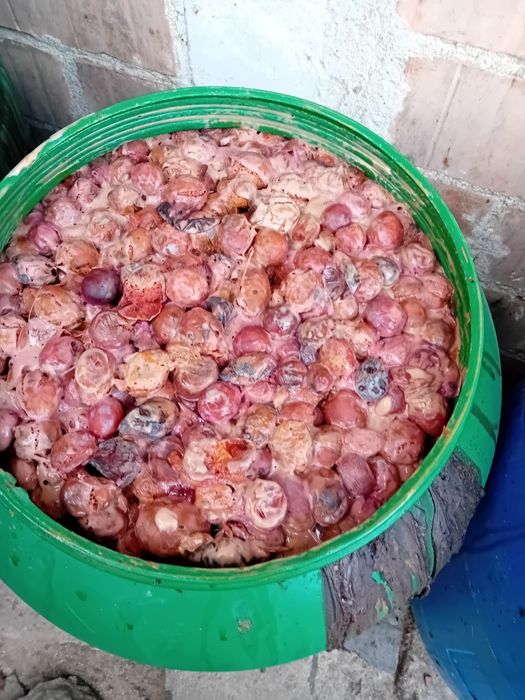 Prune de vânzare