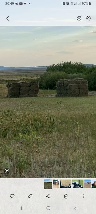 Сено с доставкои