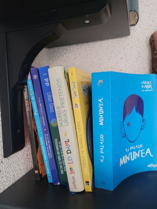 Carti pentru copii si liceu