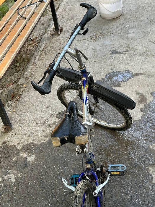 Velosiped arzon narxda