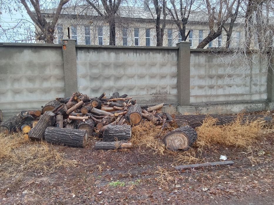 Дрова на растопку, самовывоз находится в городе