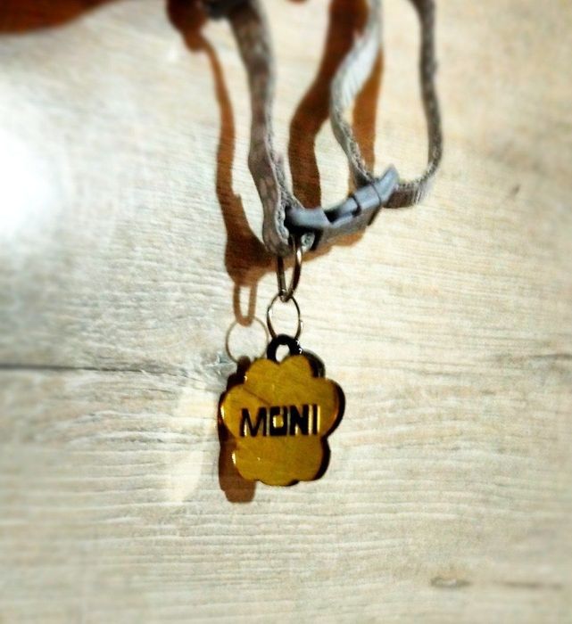 Mushuklar uchun isimli buyibog'lar  sotiladi