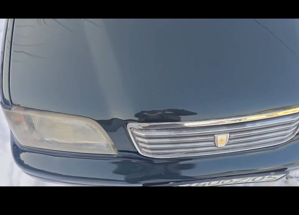 Костоправ, маляр