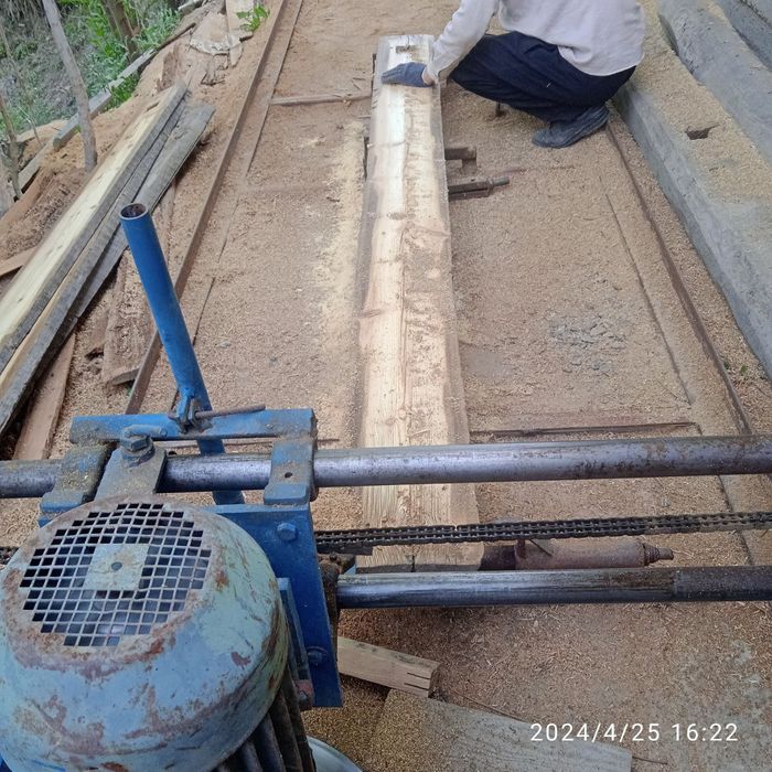 Pilorama barcha turdagi yogʻochlarni kesadi