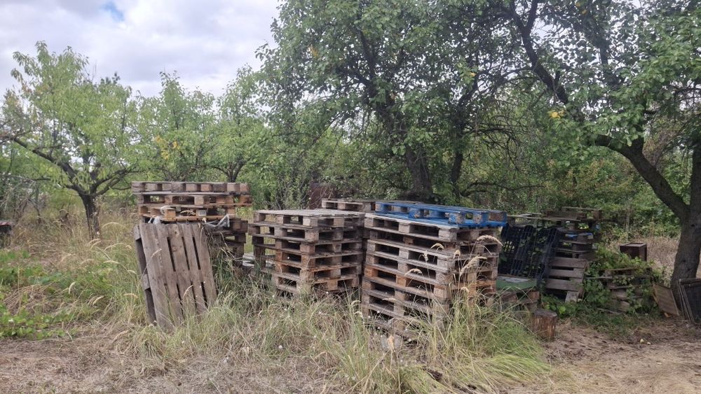 Дървени евро палета