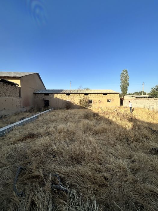 Участок Тузель пост ориентир Олимпийский городок