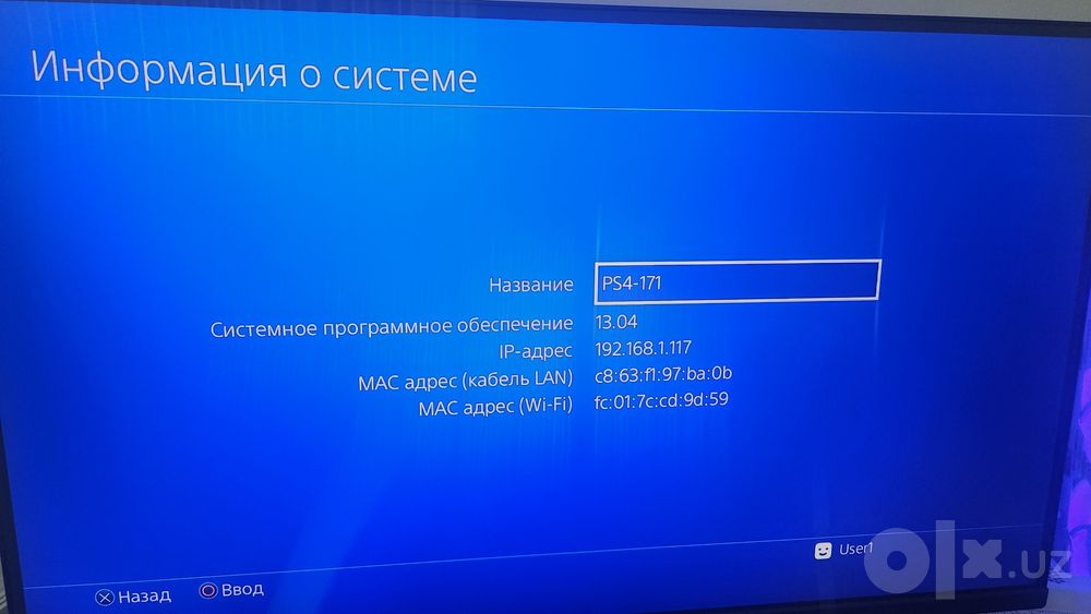 ps4 pro Versiya 13.04