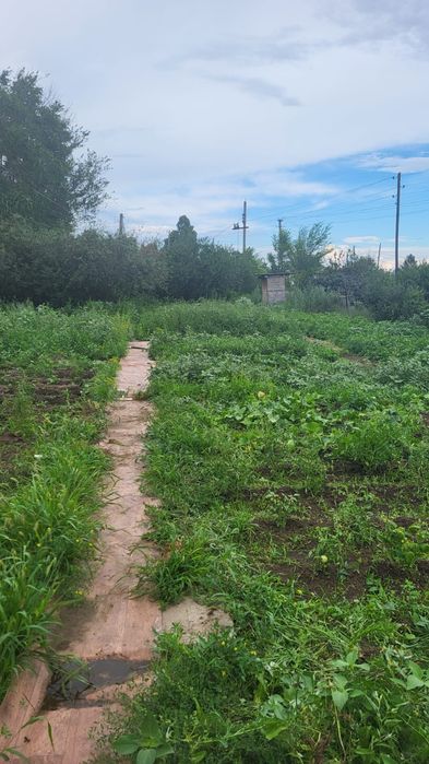 Дачный участк  земля