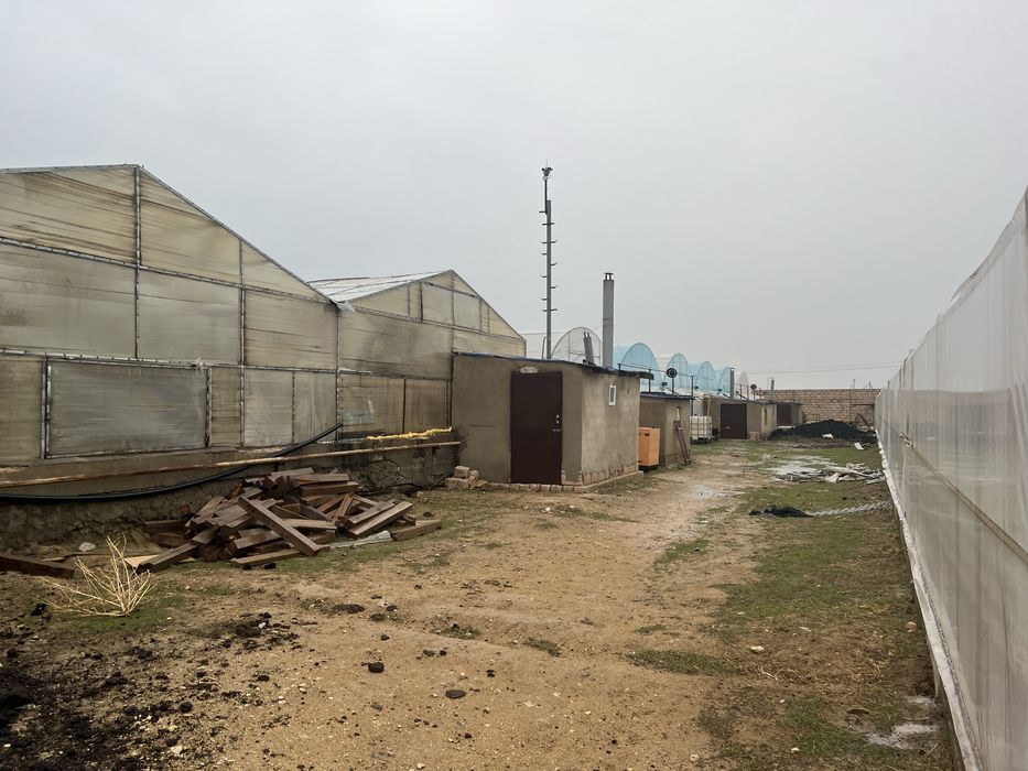 Теплицы срочно сатылады